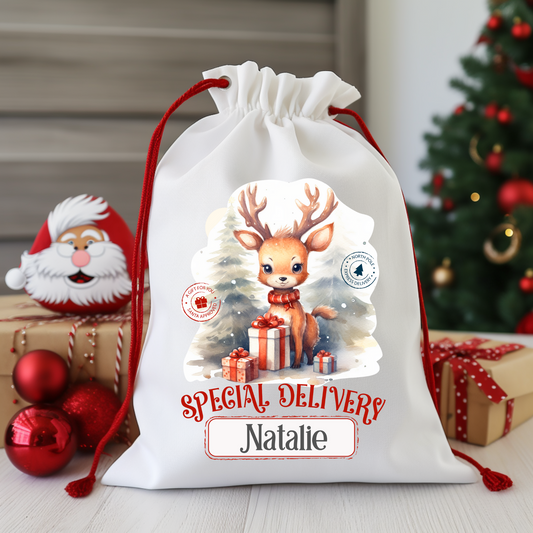 Santa Sack Reindeer Special Delivery